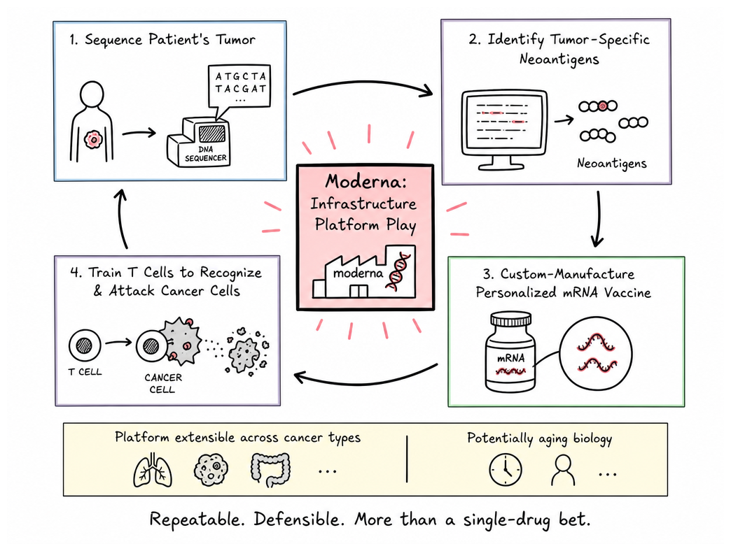 The Personalized mRNA Therapeutic Platform Workflow